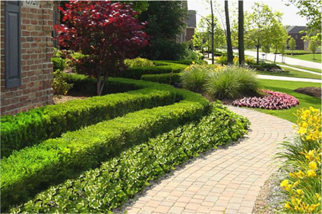 Bahçe ve Peyzaj Düzenleme